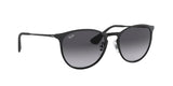 Ray Ban Erika Metal