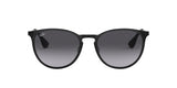 Ray Ban Erika Metal
