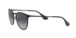 Ray Ban Erika Metal